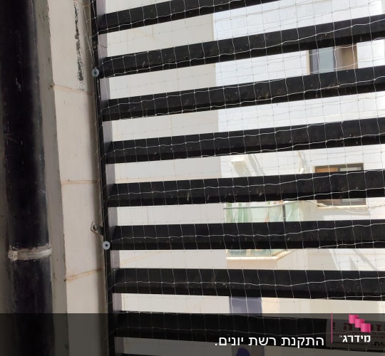 רשת הגנה על חלון למניעת כניסת יונים